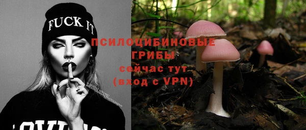 мяу мяу мука Рославль