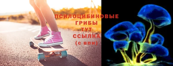 индика Ростов