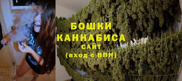 индика Ростов