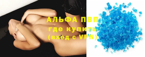 индика Ростов