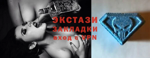 индика Ростов