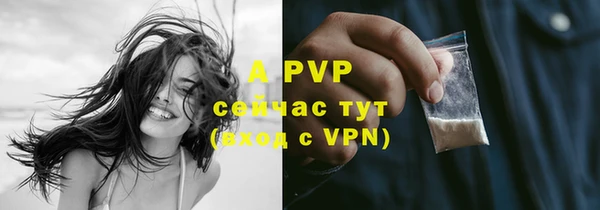 мяу мяу мука Рославль