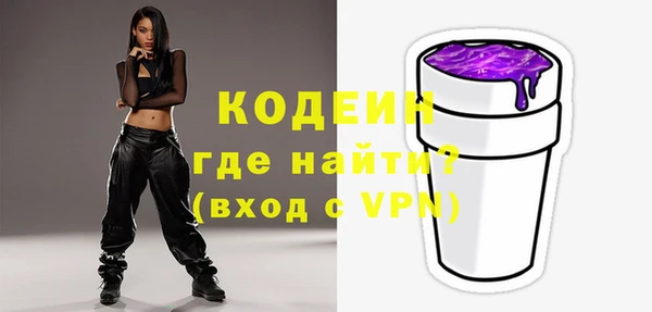 индика Ростов