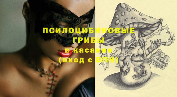 мяу мяу мука Рославль