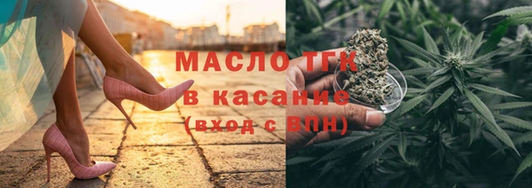 индика Ростов