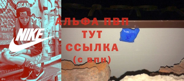 индика Ростов