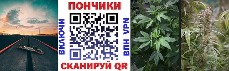 Каннабис сатива  как найти наркотики  Буинск 